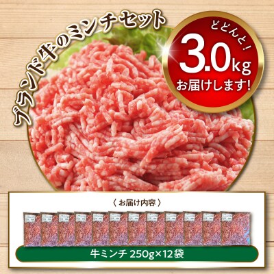 特用牛ミンチ!放牧牛花子の挽き肉3000g!【er008-018】