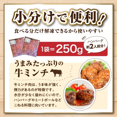 特用牛ミンチ!放牧牛花子の挽き肉3000g!【er008-018】