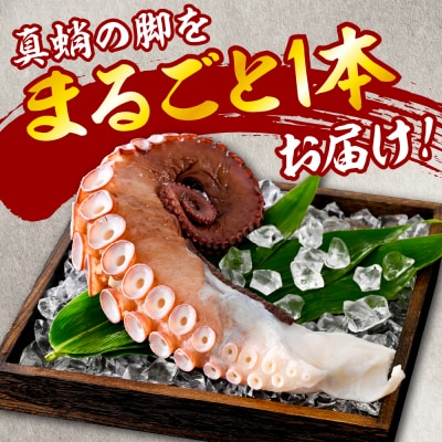 たこ　足(1kg)【er018-012-a】