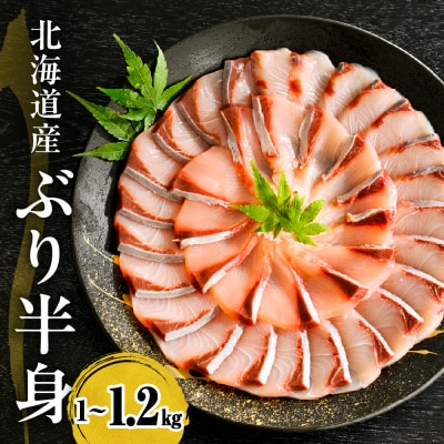 えりも【マルデン特製】北海道日高産ぶり半身1kg～1.2kg【er002-076-a】
