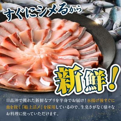 えりも【マルデン特製】北海道日高産ぶり半身1kg以上【er002-076-a】
