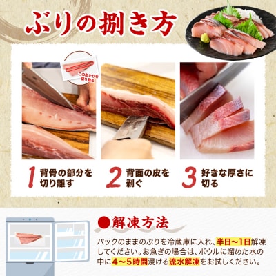 えりも【マルデン特製】北海道日高産ぶり半身1kg以上【er002-076-a】