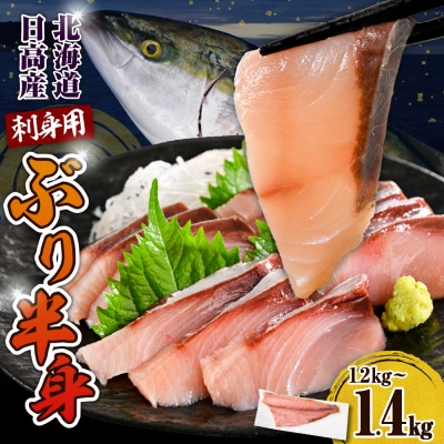 えりも【マルデン特製】北海道日高産ぶり半身1.2～1.4kg【er002-077-ss】