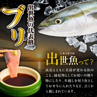 えりも【マルデン特製】(ワンフローズン)北海道日高産ぶり半身1.2kg～1.4kg