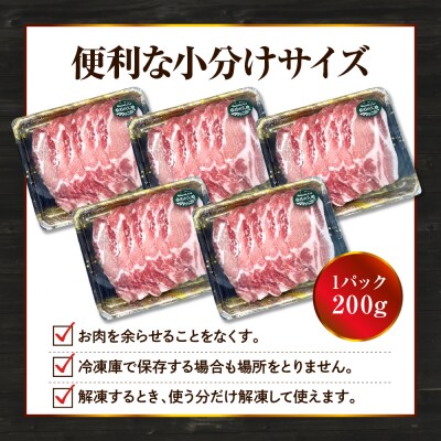 【えりも町生まれ 四元豚】ゆめの大地豚ローススライス200g×5パック計1kg【er020-001】