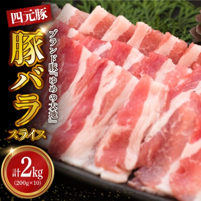 【えりも町生まれ 四元豚】ゆめの大地豚バラスライス200g×10パック計2kg【er020-005】