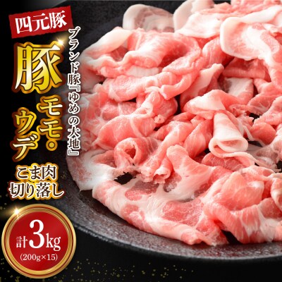 【えりも町生まれ 四元豚】ゆめの大地豚肉切落し(モモ・ウデこま肉)200g×15パック計3kg【e
