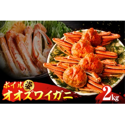ボイルオオズワイガニ姿 2kg(4～5杯)【er018-063-a】