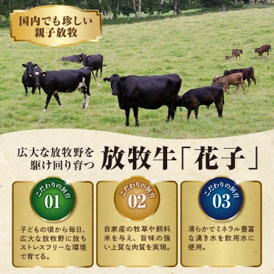 放牧牛“花子”のサーロインステーキ800g!【er008-019】