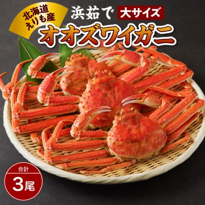 浜茹でオオズワイガニ3尾【えりも産】【er004-004-d】