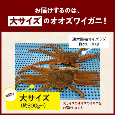 浜茹でオオズワイガニ3尾【えりも産】【er004-004-d】