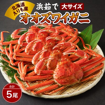 浜茹でオオズワイガニ5尾【えりも産】【er004-006-d】