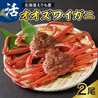 活オオズワイガニ2尾【えりも産】【er004-008-e】