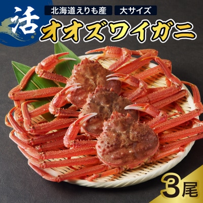活オオズワイガニ3尾【えりも産】【er004-009-d】