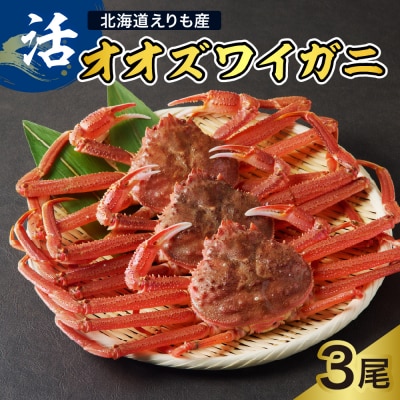 【2026年1月下旬以降発送】活オオズワイガニ3尾【えりも産】【er004-009-e】