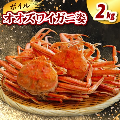 ボイルオオズワイガニ姿2kg(3～4杯)【er021-017】