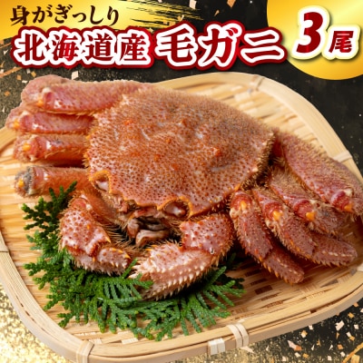 北海道産毛ガニ(450g×3尾)【er021-002】