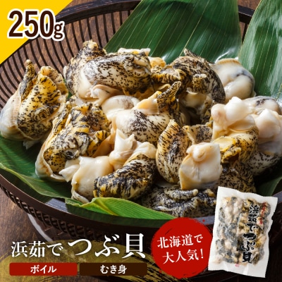 浜茹でつぶ貝250g【er001-116-b】