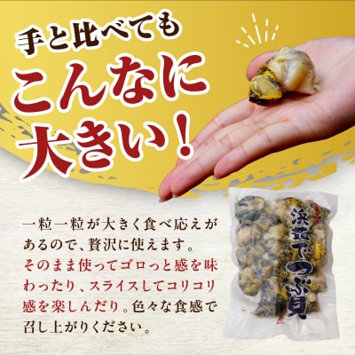 浜茹でつぶ貝 500g【er001-117】