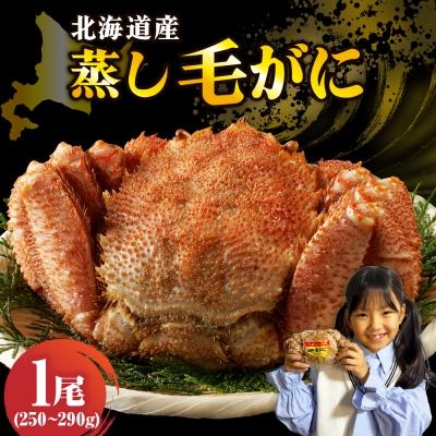 北海道産活蒸し毛蟹約250g～約290g×1尾【er001-107-a】