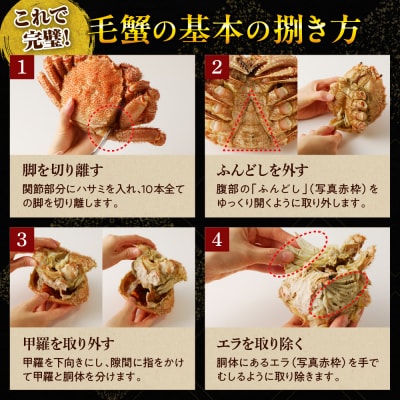 北海道産活蒸し毛蟹約250g～約290g×1尾【er001-107】