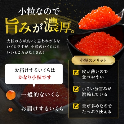 えりも【マルデン特製】鮭いくら醤油漬け250g×4箱【er002-099-s】