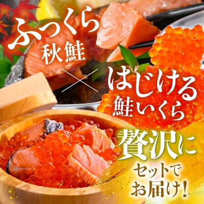 【2025年10月以降発送】鮭いくら醤油漬け 400gと 鮭フィーレ2枚【er018-102】