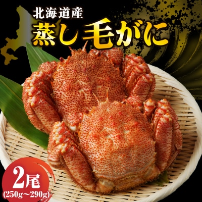 北海道産活蒸し毛蟹約約250g～約290g×2尾【er001-108-a】