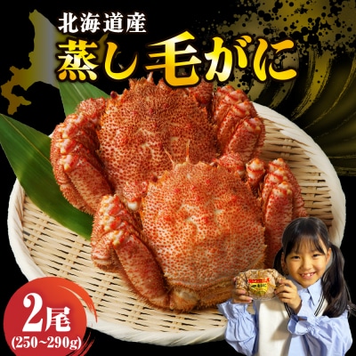 北海道産活蒸し毛蟹約約250g～約290g×2尾【er001-108-b】