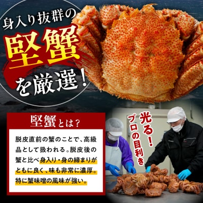 北海道産活蒸し毛蟹約約250g～約290g×2尾【er001-108-b】