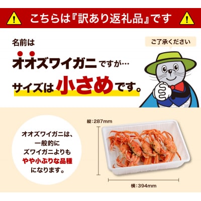 えりも【マルデン特製】訳あり生冷オオズワイガニセクション2kg【er002-050-b】