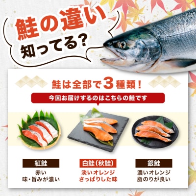 えりも【マルデン特製】北海道産 定塩 鮭 切身 23切【er002-108】