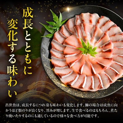 えりも【マルデン特製】北海道産ぶり半身 1kg～1.2kg×2枚【er002-111】