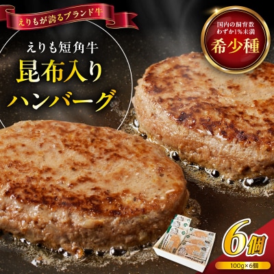 【2026年7月以降発送】【えりも短角牛】昆布入りハンバーグ 100g×6袋【er007-027】