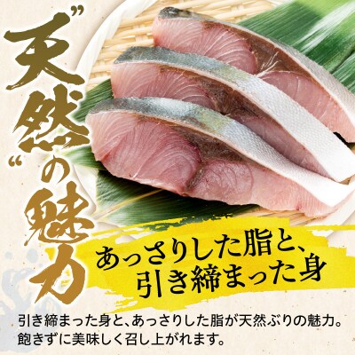 えりも【マルデン特製】北海道産天然ぶり切身10切
