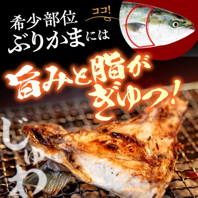 えりも【マルデン特製】北海道産 天然 ぶり カマ(約1kg)【er002-115】