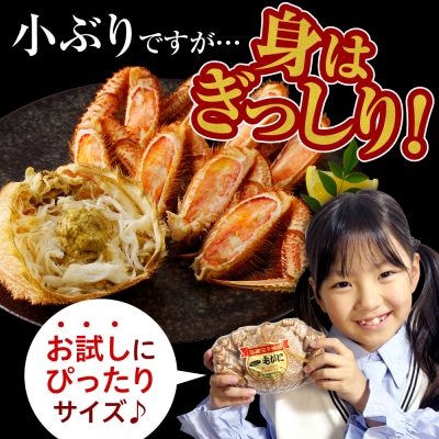 北海道産活蒸し毛蟹 330g～380g×2尾【er001-121】