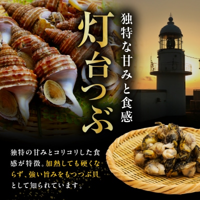 浜茹でつぶ貝1kg 【er001-133】