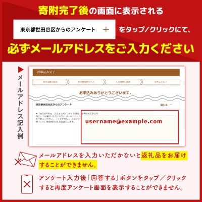 世田谷区 地域限定通貨「せたがやPay」 ふるさとポイント3,000pt(1pt=1円)