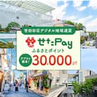 世田谷区 地域限定通貨「せたがやPay」 ふるさとポイント30,000pt(1pt=1円)