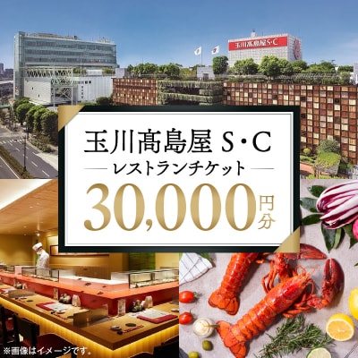 世田谷区ふるさと納税限定　玉川高島屋S・Cレストランチケット(30,000円分)【高島屋選定品】