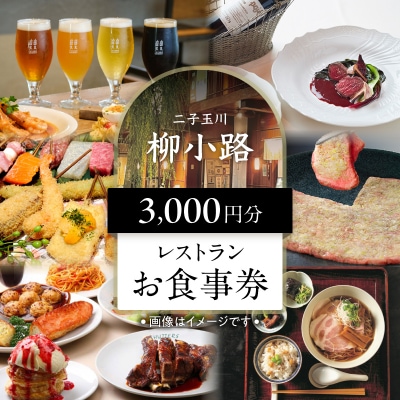 世田谷区ふるさと納税限定　二子玉川「柳小路」レストランお食事券(3,000円分)【高島屋選定品】