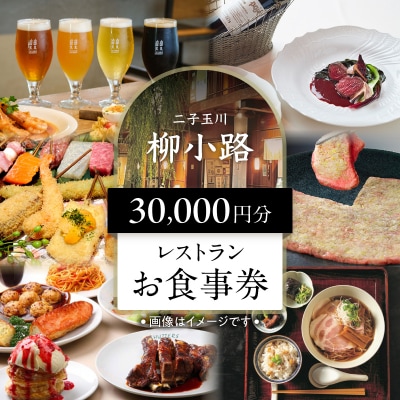 世田谷区ふるさと納税限定　二子玉川「柳小路」レストランお食事券(30,000円分)【高島屋選定品】