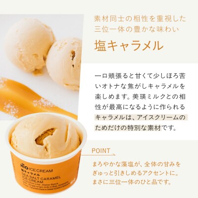 HiO ICE CREAM　<全3回定期便>　3種12個を月1回お届け(3か月連続)