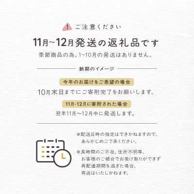 <2026年11月・12月発送分> salut!! Xmasシュトーレン