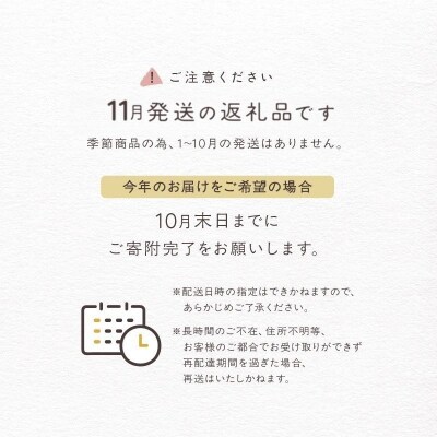 <2026年11月発送>salut!! Xmasシュトーレン