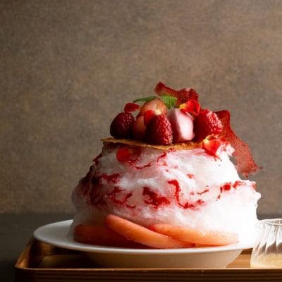 DEGUSTATION かき氷 優先予約クーポン券【2,000円分】ふるさとチケット