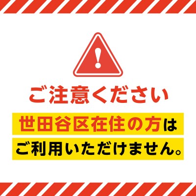 <令和7年10月4日開催>第47回 世田谷区たまがわ花火大会 ふるさと応援者席 招待券 2名分・イス