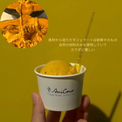 季節の天然素材ジェラート【AmiCono】お買い物に使える【3,000円分】ふるさとチケット