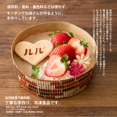 ＜ペットフード＞米粉で作った至福のケーキ-ショコラッティ-【Kitchen Dog!】 